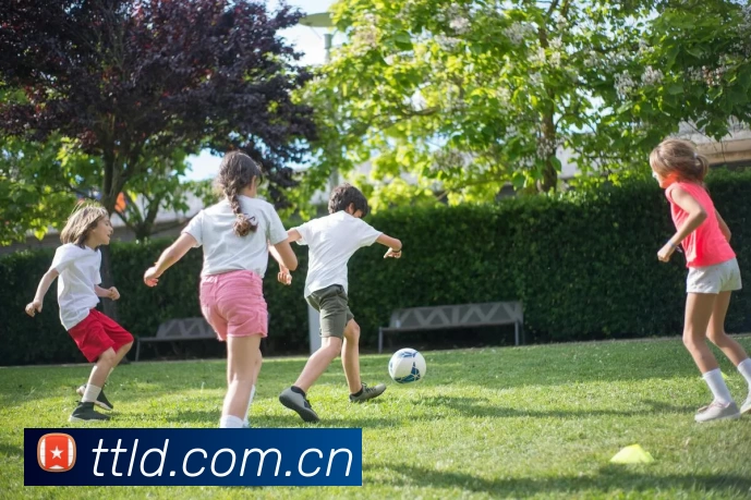 三亿体育 - 三亿(中国)一站式服务官方网站服务体系